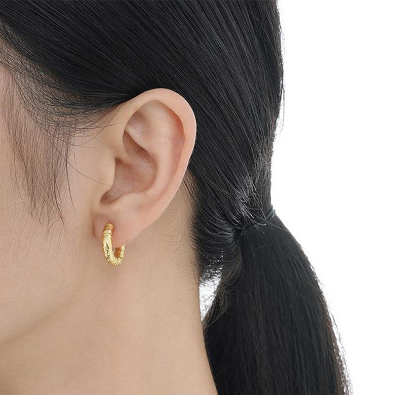 daily earring accessory