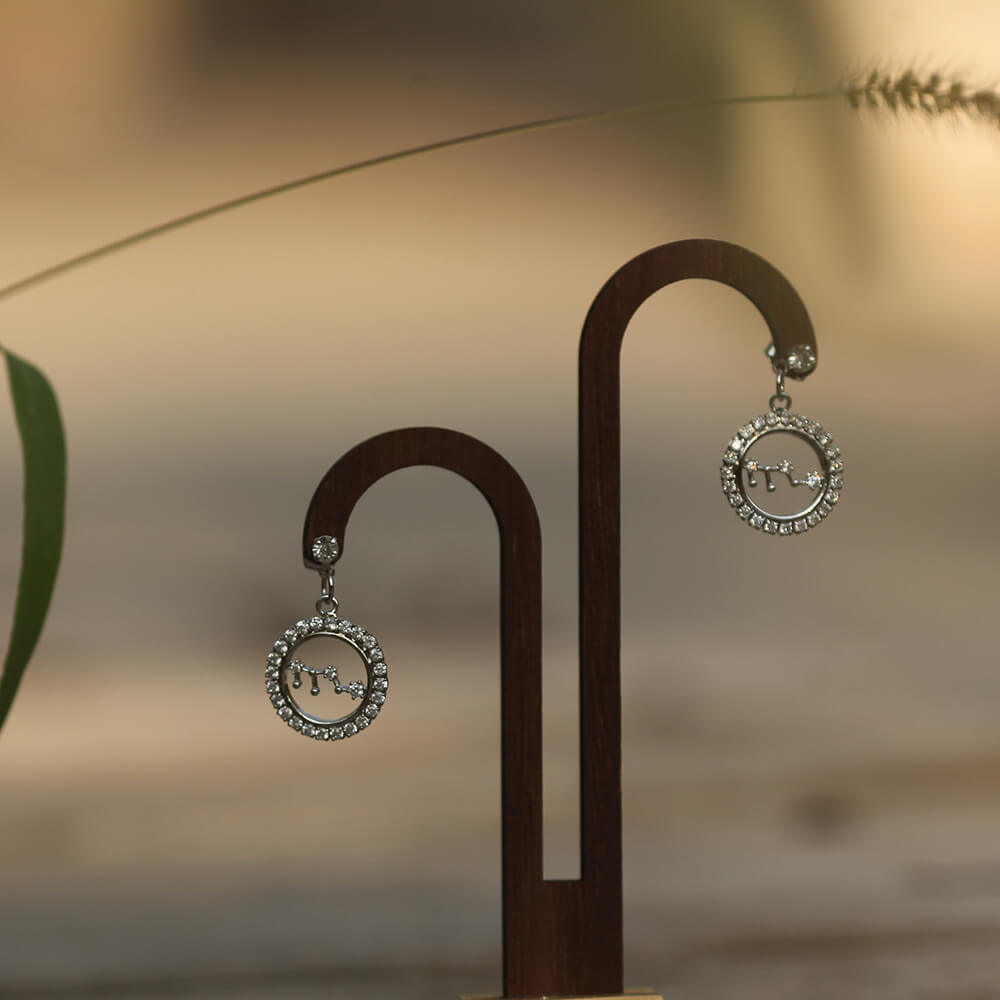 Round Chain Drop Earring with Clear Crystals